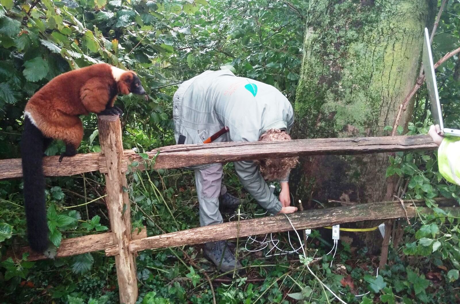 Groenadvies Amsterdam schaft Arbotom-tomograaf aan